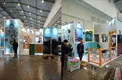 Kompas (Traveling Fair 2023)
